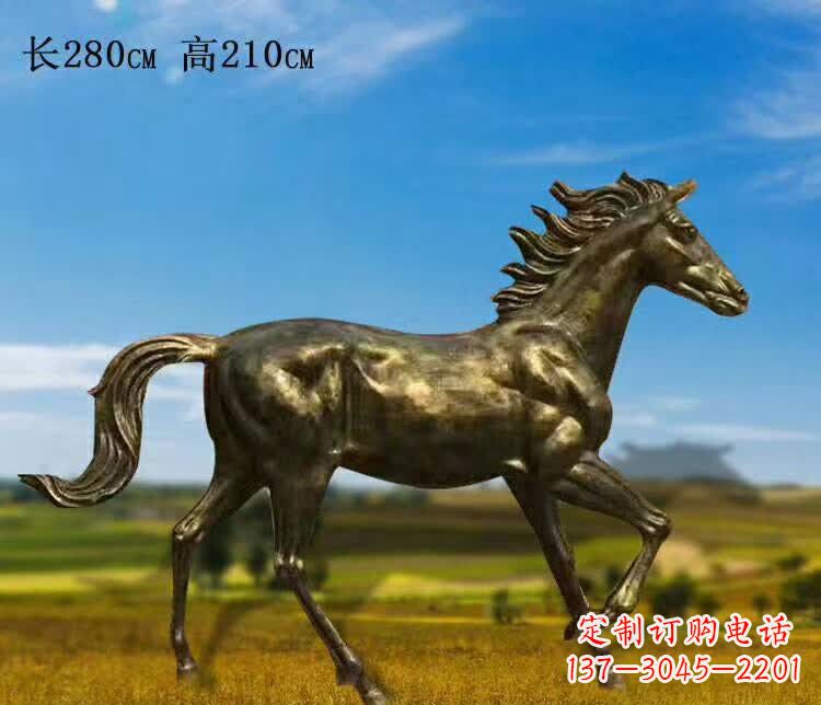 青海新马之精髓