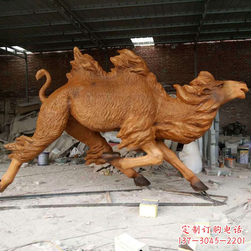 青海活力四射的骆驼