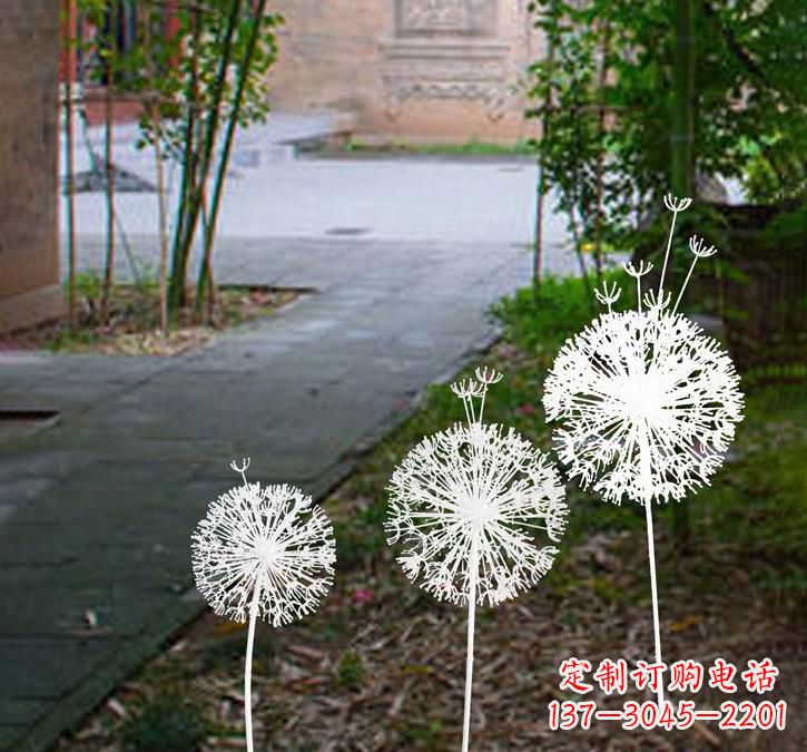 青海不锈钢蒲公英点亮城市之美