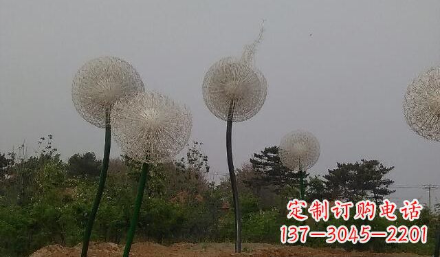青海蒲公英的绚丽多彩