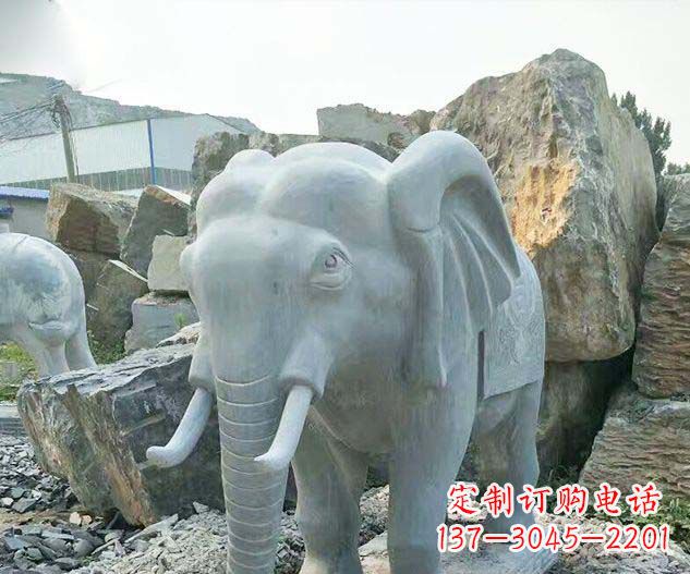 青海广场景观大理石大象石雕 (2)