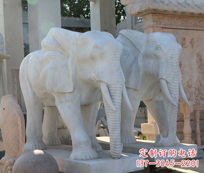 青海广场景观大理石大象石雕 (3)