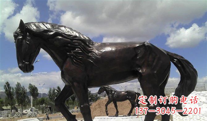 青海广场马动物铜雕 (3)