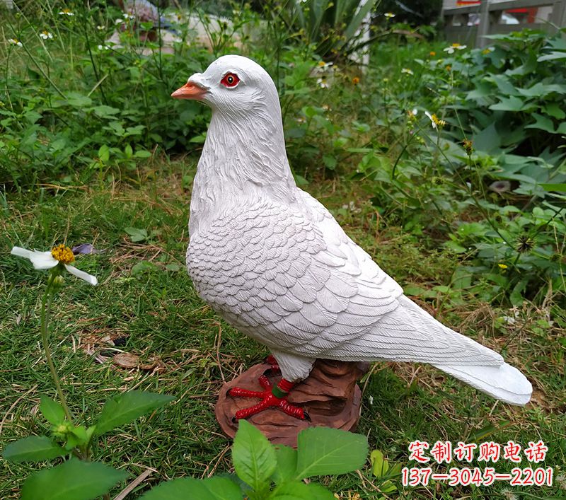 青海为和平献芳礼：精美少女与和平鸽雕塑