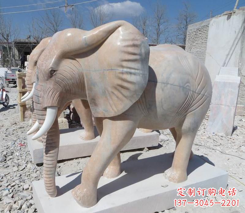 青海晚霞红卷鼻大象