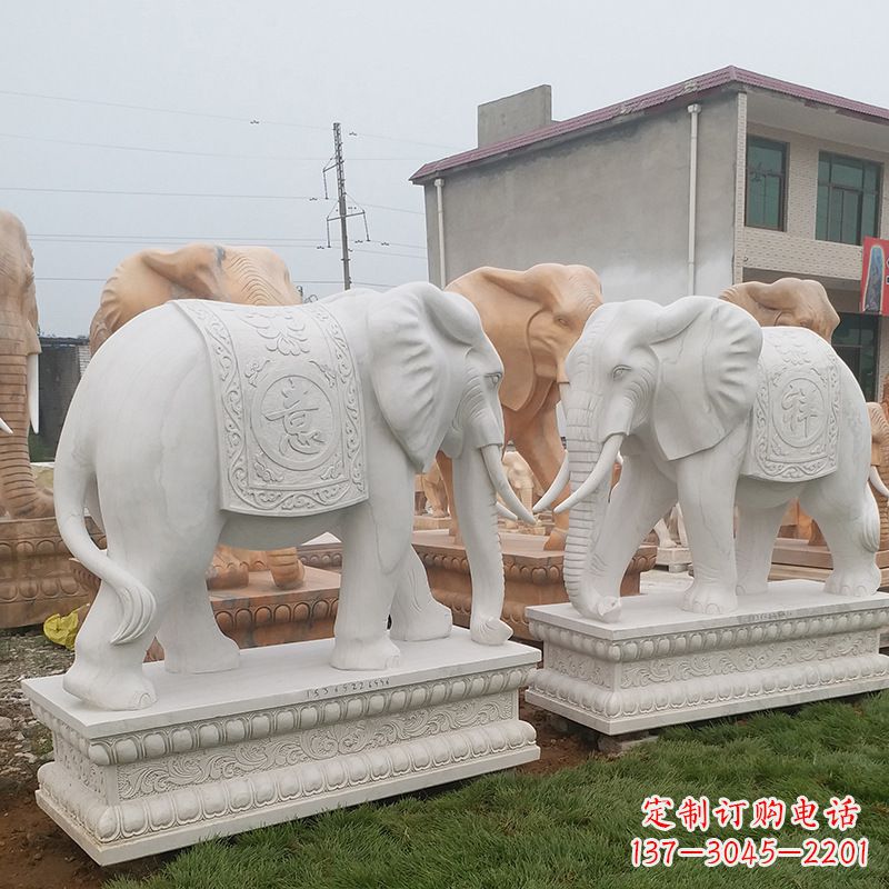 青海学校石雕大象